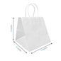 1000W | 250pcs Cube 10.5x10.5x10.5 inches White Paper Bags Twisted Handles – main