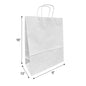 1366W | 250pcs Traveler 13x6x16 inches White Paper Bags with Twisted Handles – main