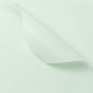 Matte Solid Color Elegant Wrapping Paper - 20 Sheets