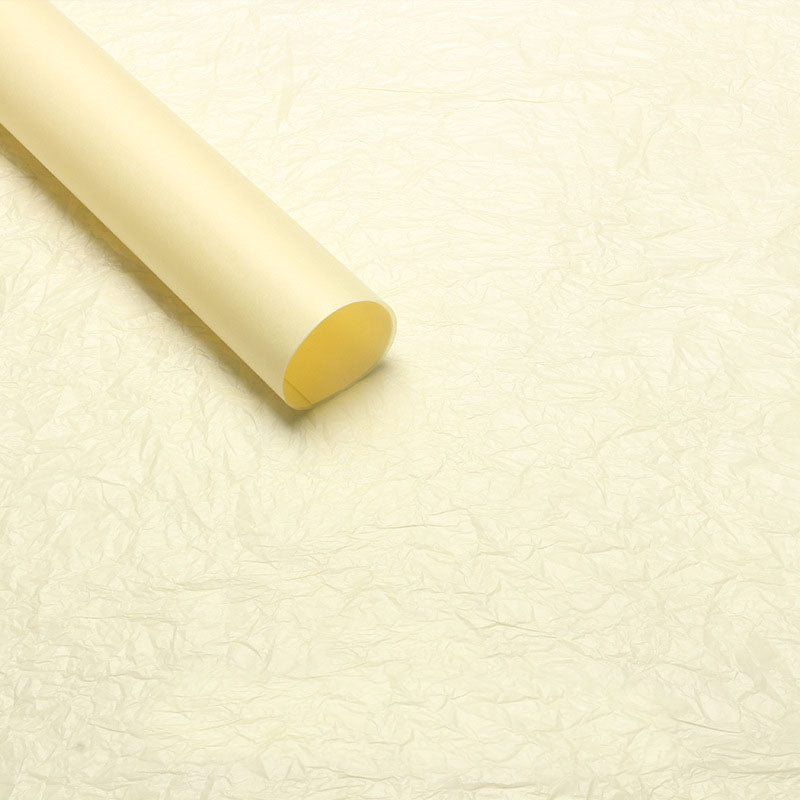 Simple Solid Pearlescent Paper Liner - 30 Sheets