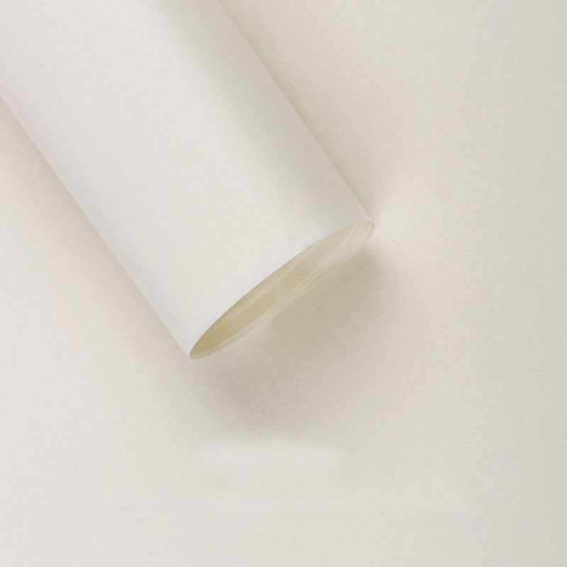 Simple Solid Pearlescent Paper Liner - 30 Sheets