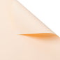Korean First Love Solid Color Elegant Wrapping Paper – 20 Sheets